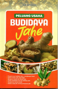 Image of Peluang Usaha Budidaya Jahe