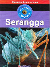 Serangga