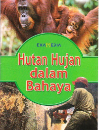 Hutan Hujan dalam Bahaya