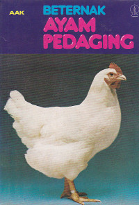 Berternak Ayam Pedaging