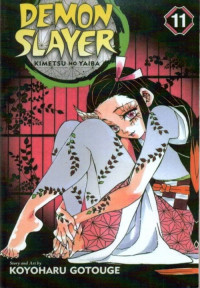 Demon Slayer 11