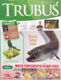 TRUBUS Bisnis Hebat Sidat